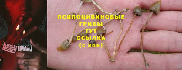 эйфоретик Каменка