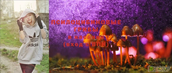 эйфоретик Каменка