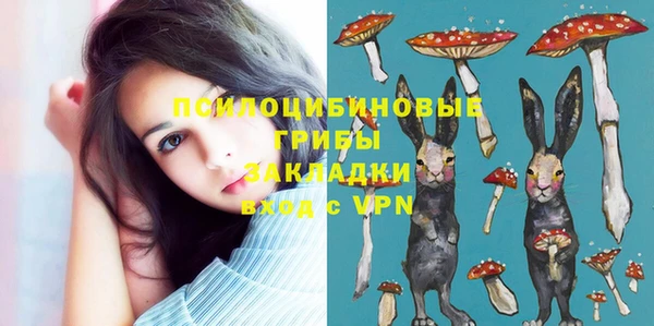 эйфоретик Каменка