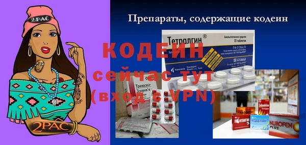 эйфоретик Каменка