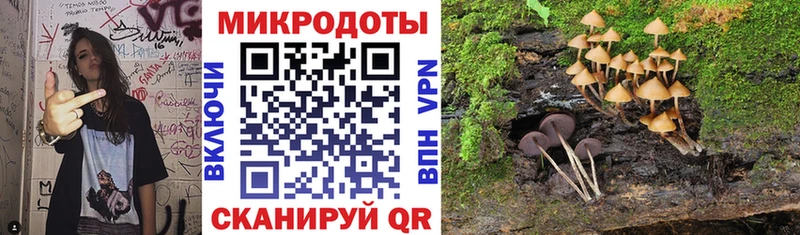 Купить закладки  Саратов  Псилоцибиновые грибы Psilocybine cubensis 